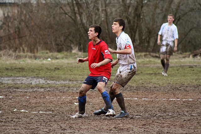 双方在多个 双方在多个