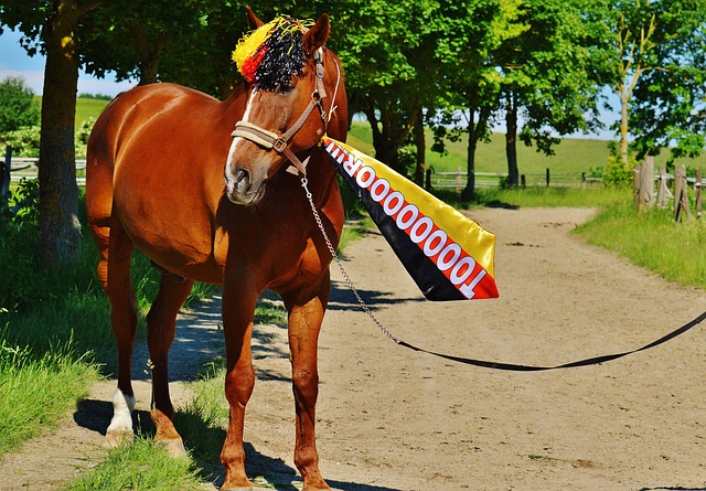 心態與強大 心態與強大