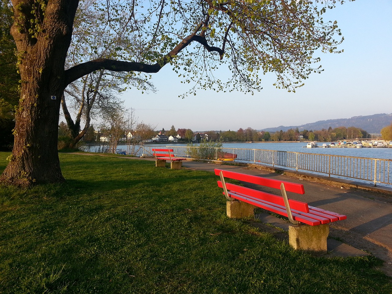 球迷们无疑 球迷们无疑