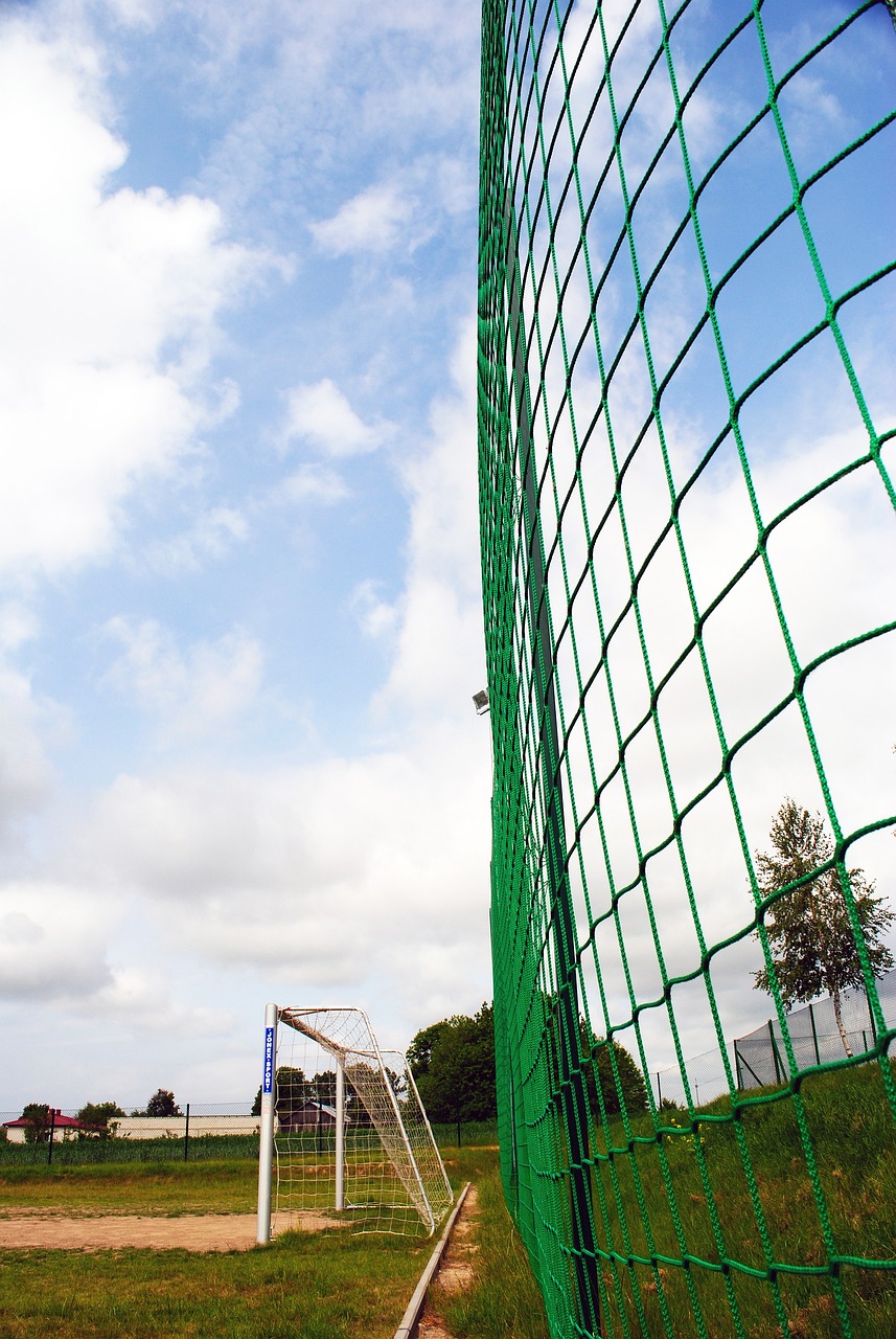 而是依據比 而是依據比