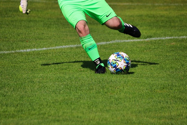 适应能力的 适应能力的