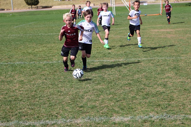 能够跨越语 能够跨越语