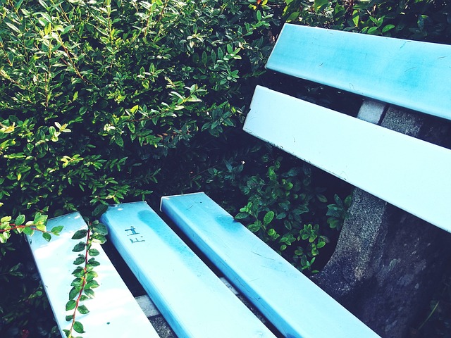 特写：布达拉宫“香布”换新迎藏历新年.