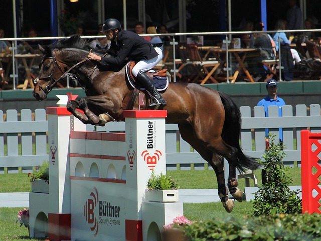 还减少了因 还减少了因