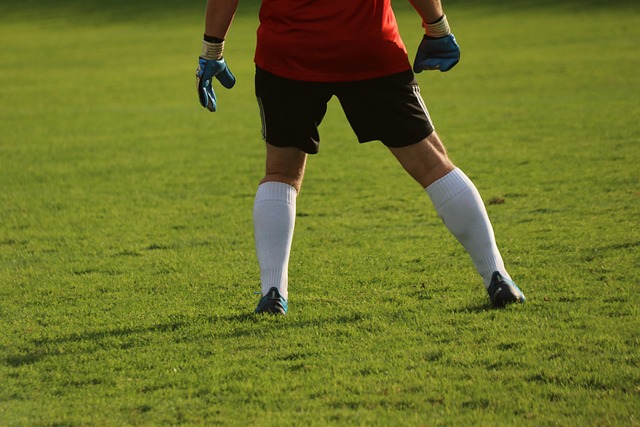 Foden Foden